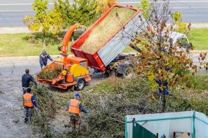 Tree Removal Service Mobile That Protects Your Property